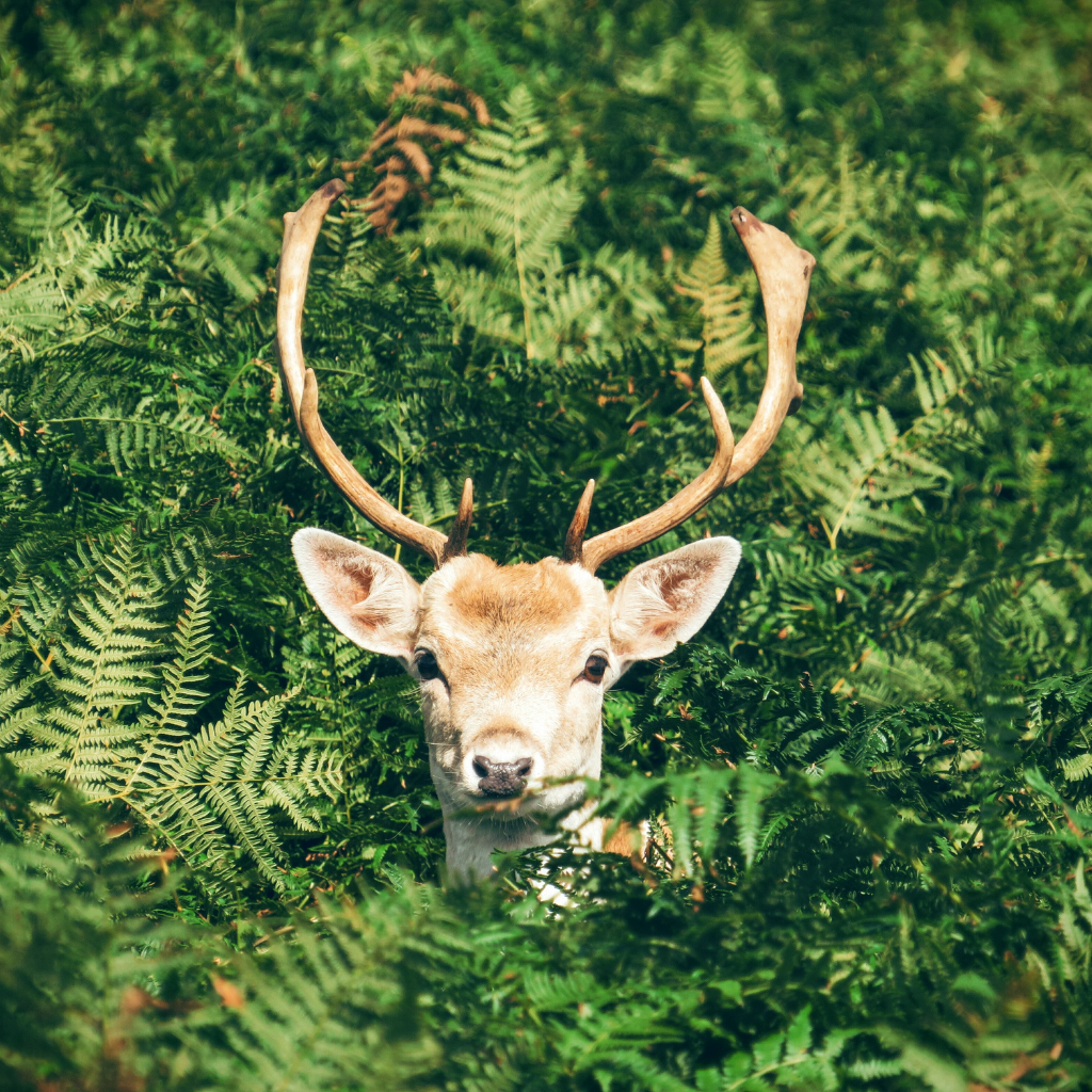 Add a subheading (13)