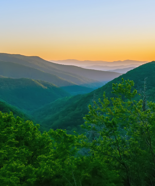 Untitled design (16)