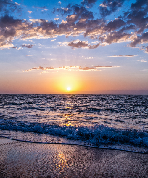 Untitled design (17)