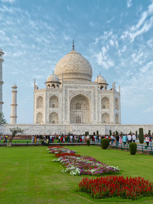 Untitled design (31)