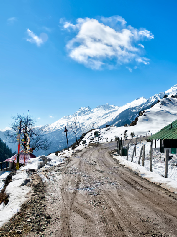 Untitled design (32)