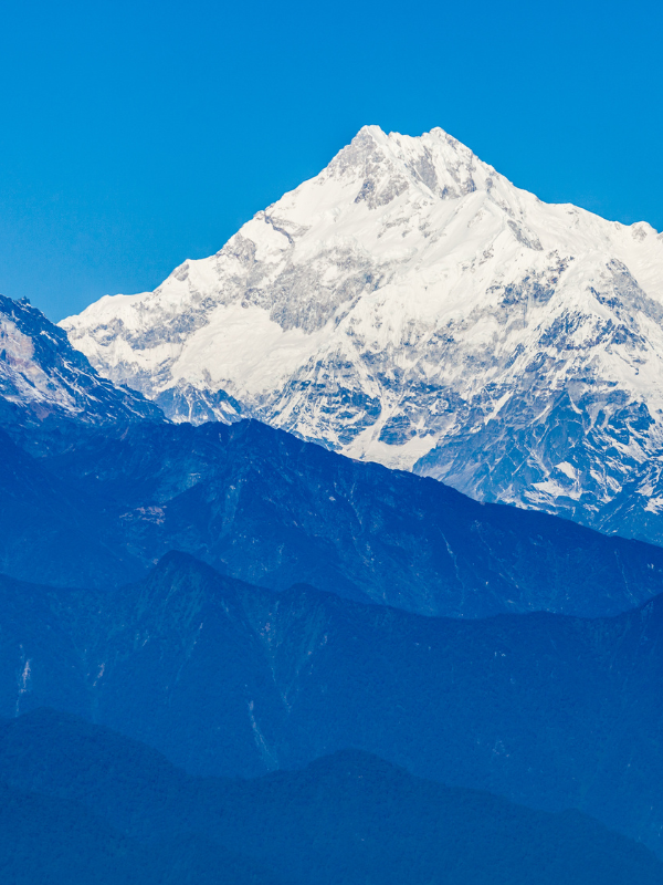 Untitled design (35)