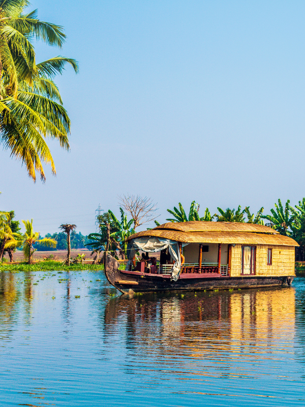 Untitled design (36)