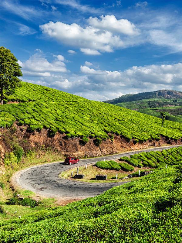 Untitled design (37)