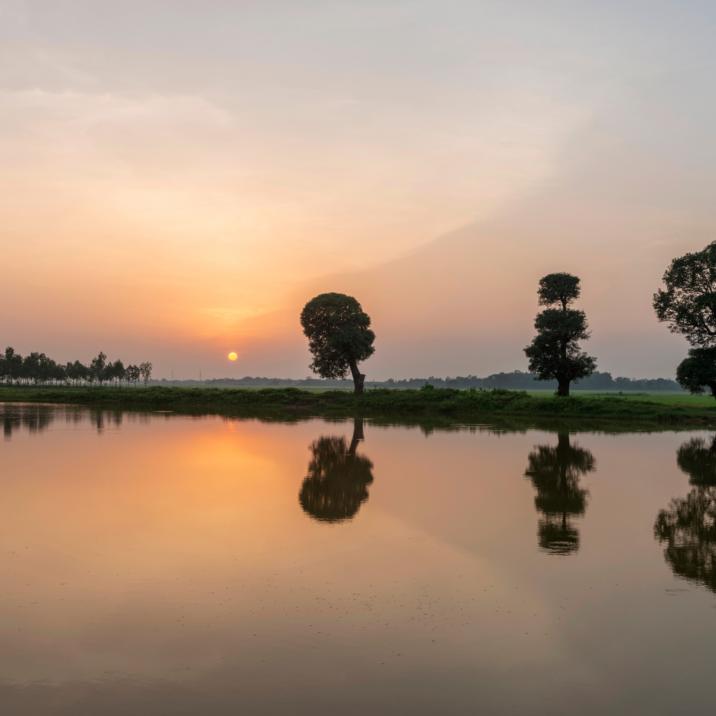 Untitled design (43)