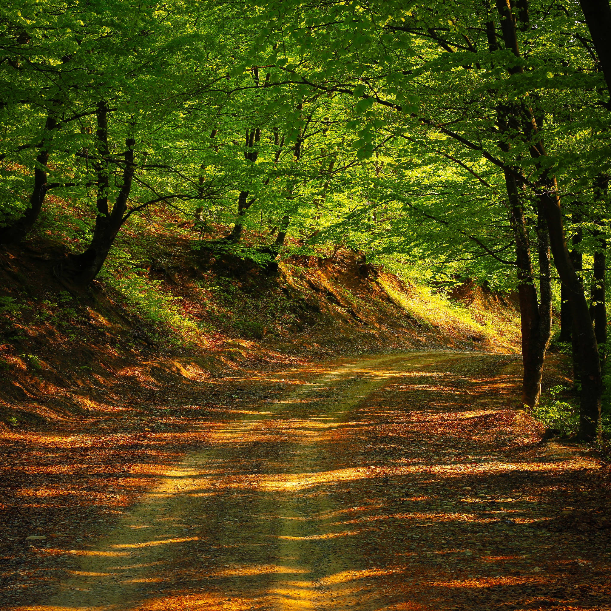 Untitled design (50)