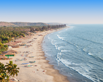 Untitled design (64)